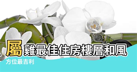 屬雞床頭方位|属鸡最佳住房楼层和风水方位